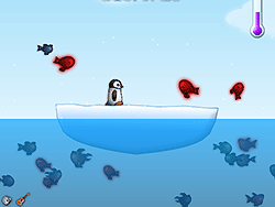 魚を食べるペンギン