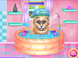 Kitty Spa: Bath, Feed & Dress