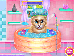 Kitty Spa en voeding