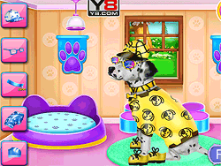 Dagopvang voor Dalmatische puppy's