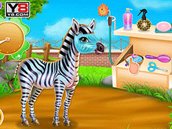 Zebra-Pflege