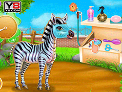 Zebra Makeover