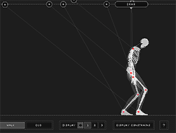 Wireframe-Skelett