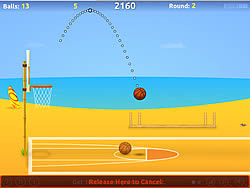 Basquete de verão