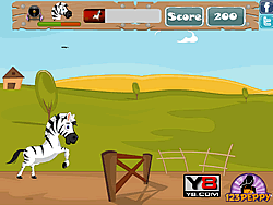 Zebra de corrida