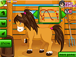 Pony My Pet