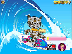 Catty Surfing Adventure