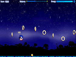 Sonic's Crazy Adventure