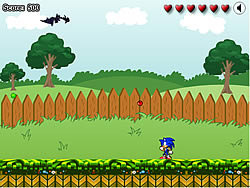 Sonic no jardim