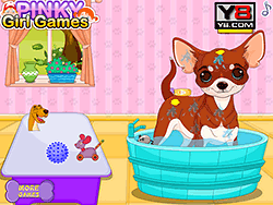 Chihuahua puppyverzorgingsspel