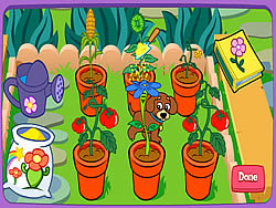 El jardín mágico de Dora
