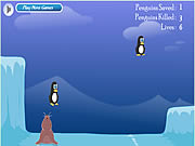 Pinguin-Rettung
