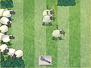 Sheep Dash