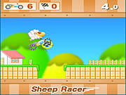 Sheep Racer