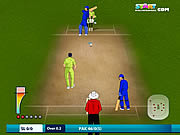 Cricket 2011 du monde