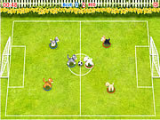 Le football d'animal familier