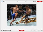 Puzzle di combattimento di UFC