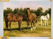 Horses Grazing Jigsaw