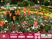 Flower Garden-Hidden Objects