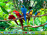 Zoo Hidden Objects