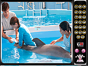 Dolphin Tale Gamesperk