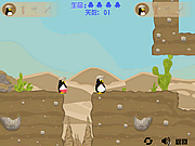Pinguin-Paar-Abenteuer