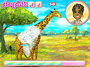 Жираф зоопарке