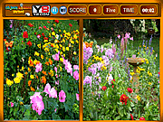 Het Spel van de Gelijkenissen van bloemen