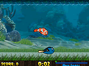  물고기 경주