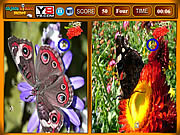 Schmetterlings-Ähnlichkeit-Spiel