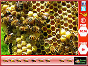 Favo de mel - abelhas escondidas