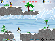 Guerres de pingouin