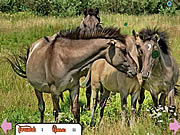 Chevaux cachés d'anneaux