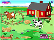 Nettoyage de ranch