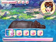 Mon hippopotame frais