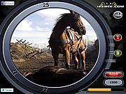 Cavallo di guerra - trovare i numeri