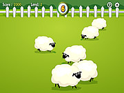 Die Schafe zählen