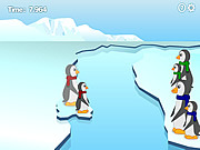 Familles de pingouin