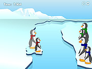 Penguin Families