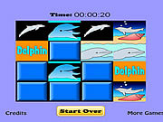Het Spel van de Gelijke van de dolfijn