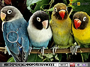 Verborgen alfabet-Papegaaien