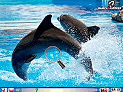 Verborgen aantal-Dolfijnen