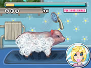 Maak Weinig Piggy schoon