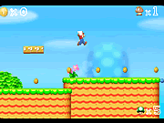 L'aventure 2 de Mario