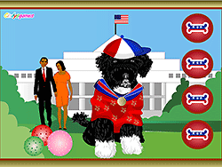 Obama's hond aankleden
