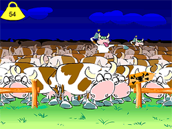 ¡Vacas locas!