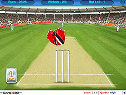 Cricket-Wicket