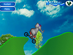 Elephant Trick Rider