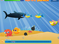 Hungry Shark Adventure