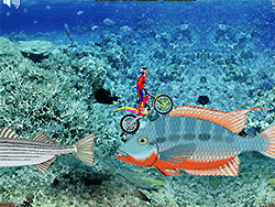 专业摩托车 - 水下